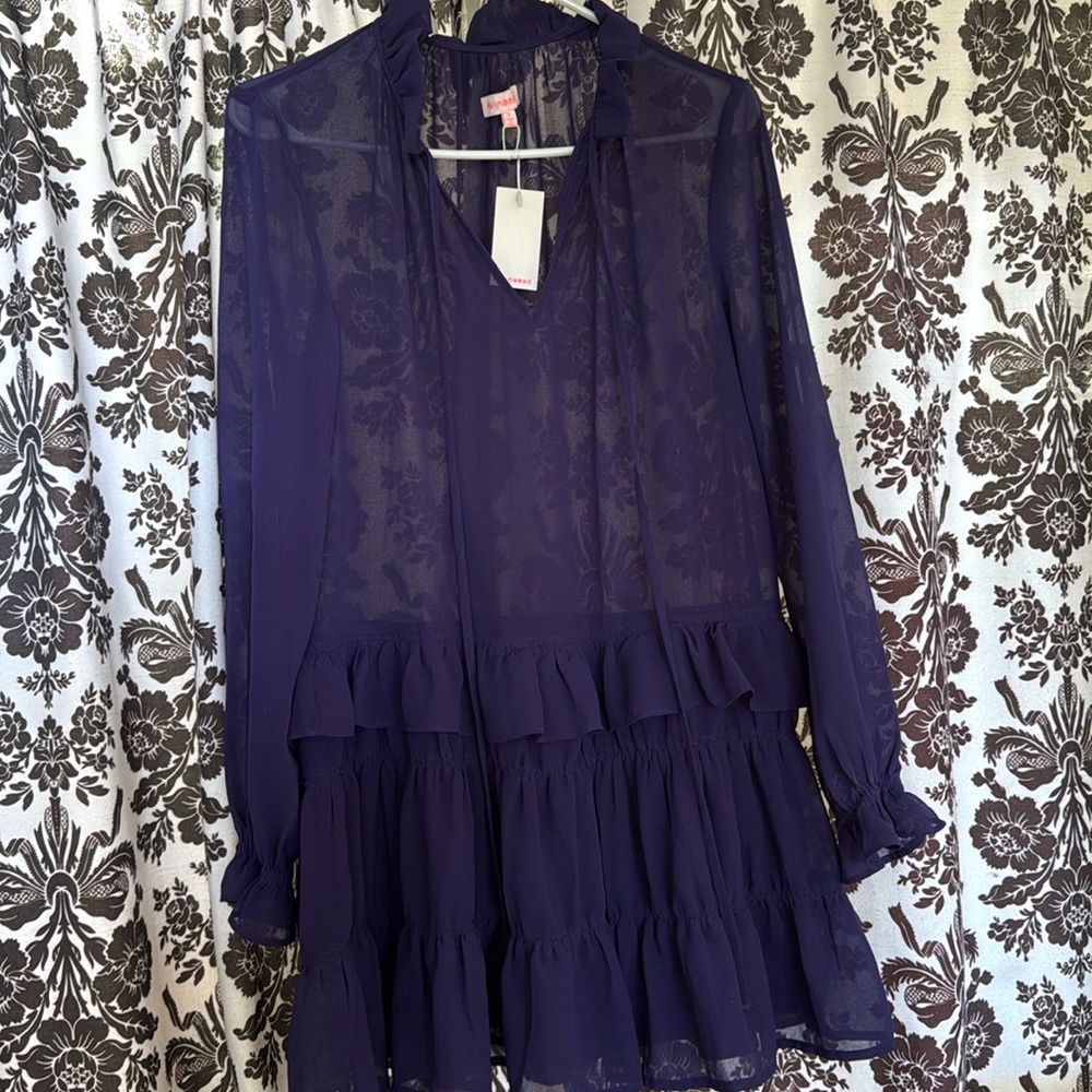 Ruffle Boho Mesh dress